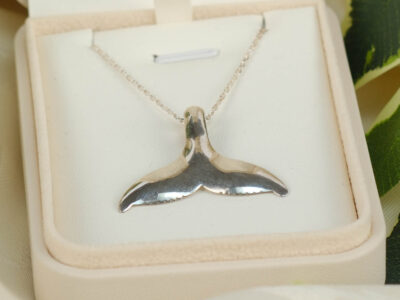 Whale Tail