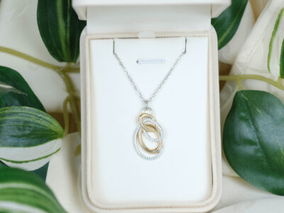 Eternal Swan