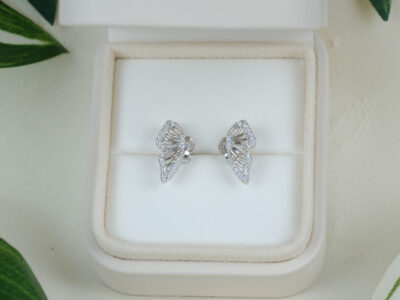Butterfly Delight