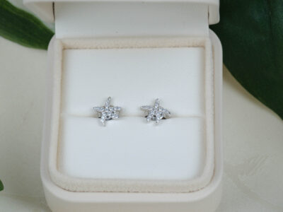 Star Charm