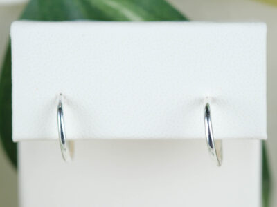 Elegant Hoops